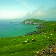 Ireland’s ‘Forty Shades of Green’